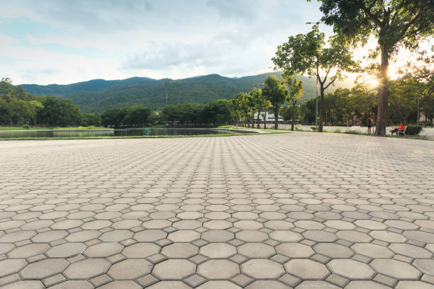 Best Residential Paver Driveway  in Johnson, AR